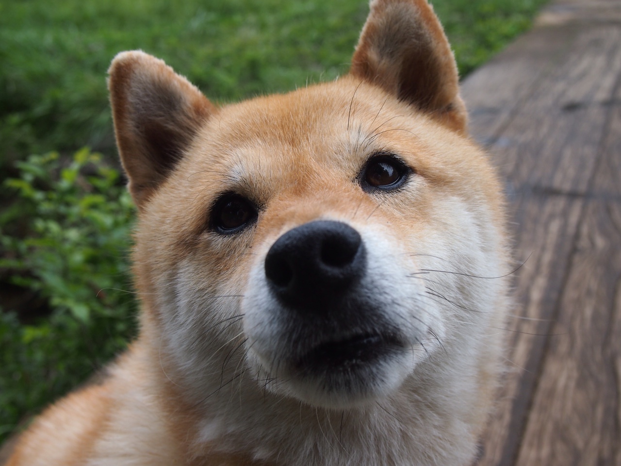 爱游戏官方网站入口登录-ESPN称伊朗为“雪地战术大师”，伊朗雪山