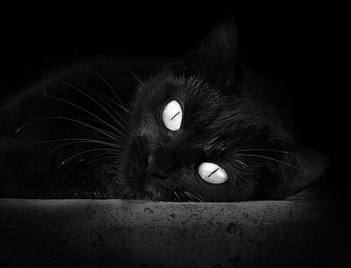 奥格斯堡低迷，急需调整状态，奥格斯堡战役